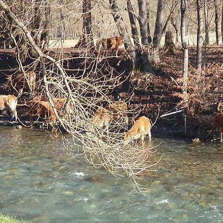T2 4 Personnes Wifi Et Climatisation