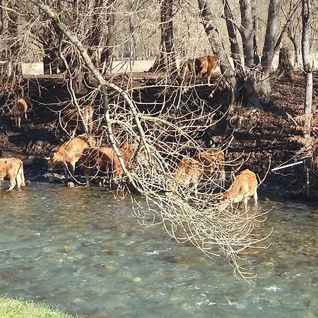 Appartamento T2 4 Personnes Wifi Et Climatisation Bagnères-de-Luchon